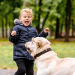 Dog Bite Damages