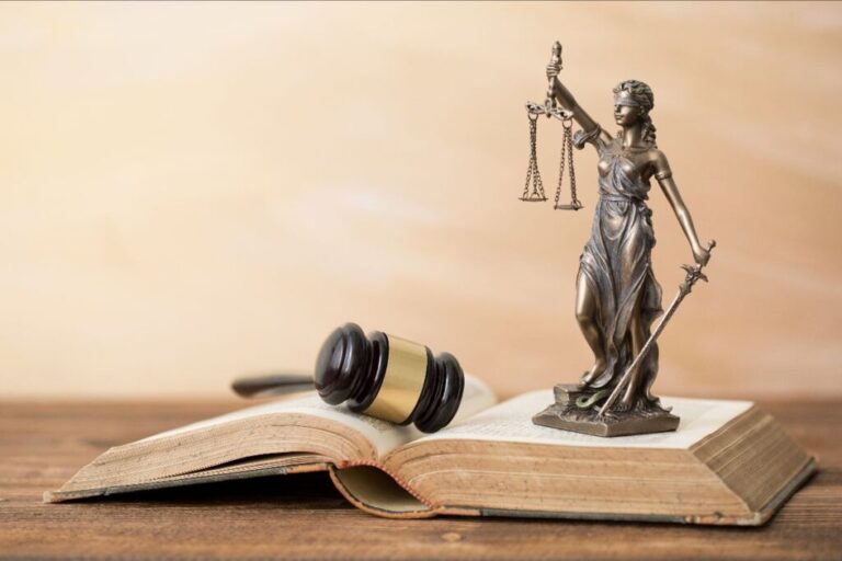 How does a disciplinary issues lawyer help maintain your career standing