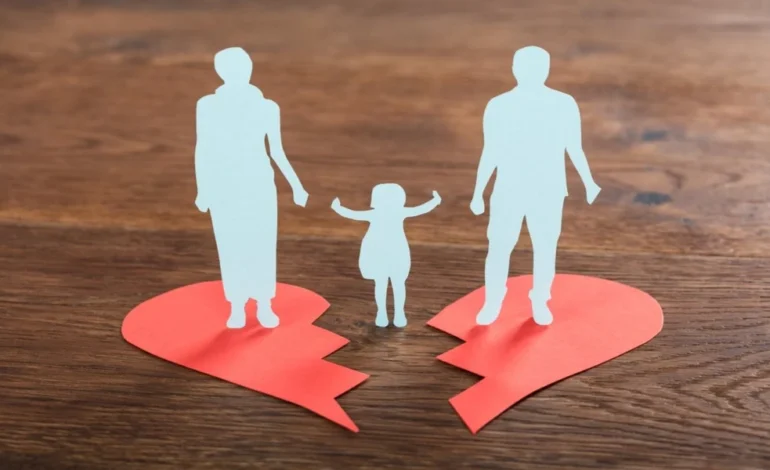 What to Look for in a Michigan Divorce Lawyer